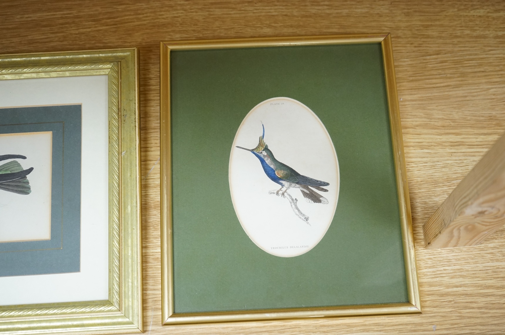Sir William Jardine (1800-1874), ‘Jardine Hummingbirds’ to include White Striped Hummingbird and Purple Hummingbird, twelve colour plates, 9 x 14cm